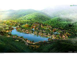 東部華僑城天麓 東部華僑城天麓