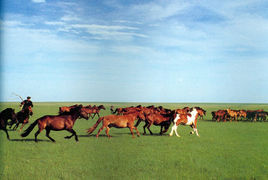 大汗憑弔 大汗憑弔