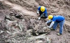 重慶雲陽恐龍化石群 重慶雲陽恐龍化石群