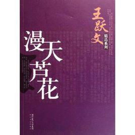 漫天蘆花 漫天蘆花