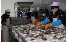 水產品加工