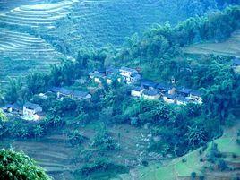 鵝脖左自然村 鵝脖左自然村