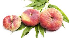 農神蟠桃 農神蟠桃