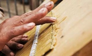 本質紙漿 本質紙漿