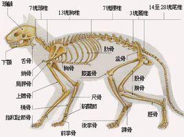 基本結構 基本結構