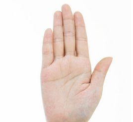 手紋特性 手紋特性