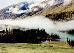 亞寒帶針葉林氣候