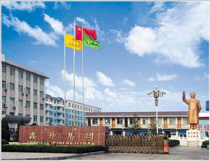 山西鑫升焦化集團