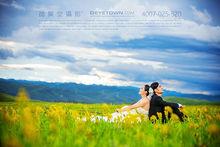 陪你一起看草原