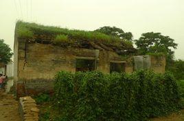 南和白佛寺 南和白佛寺