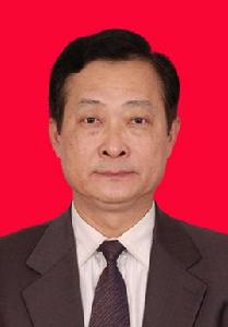 黃日東[廣東省人民政府發展研究中心副書記]