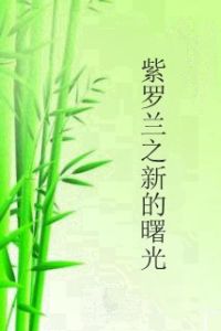 紫羅蘭之新的曙光 紫羅蘭之新的曙光