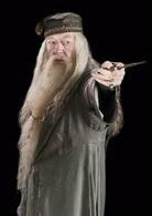 哈利·波特與阿茲卡班的囚徒[英美2004年阿方索·卡隆執導電影]