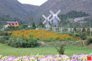 山西鳳凰山生態植物園 山西鳳凰山生態植物園