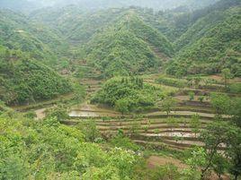 松子關村[安徽省六安市金寨縣吳家店鎮松子關村]
