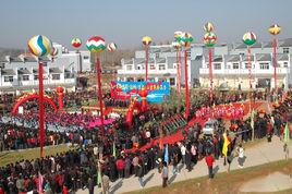 三里崗香菇市場 三里崗香菇市場