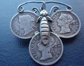 青蚨[昆蟲名稱]