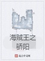 海賊王之驕陽 海賊王之驕陽