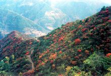 曲陽湖周圍山景