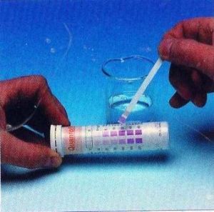 食用油酸敗檢測試紙