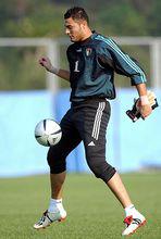 阿米爾&middot;沙菲亞