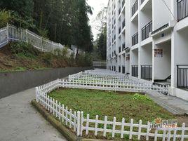 桃都養生谷 桃都養生谷