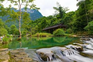 茂蘭喀斯特森林