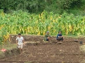 上面甸自然村 上面甸自然村