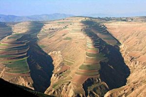 黃土丘陵