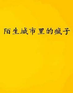 陌生城市裡的瘋子 陌生城市裡的瘋子