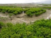 晉江石圳海岸地貌自然保護區 晉江石圳海岸地貌自然保護區