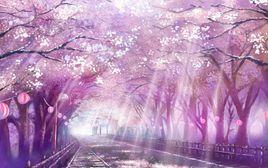 櫻花[高野健一演唱歌曲]