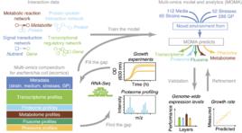 多層組學整合 多層組學整合
