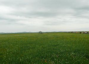 張家口壩上濕地 張家口壩上濕地