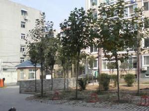 欣欣花園 欣欣花園