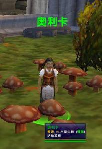 奧利卡的詩 奧利卡的詩