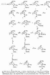 魚腥藻毒素合成示意圖