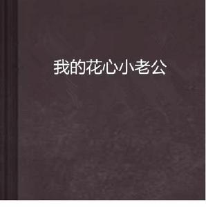 我的花心小老公 我的花心小老公