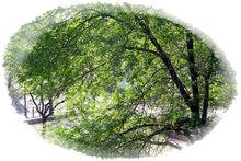 春光乍泄[漢語成語]