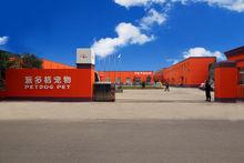 派多格寵物美容學校