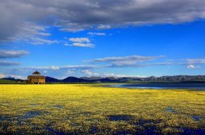 甘肅尕海則岔國家級自然保護區管理局 甘肅尕海則岔國家級自然保護區管理局