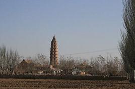 西夏定州 西夏定州