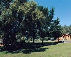 滿天星森林公園