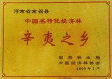 辛夷[木蘭屬植物的花蕾]