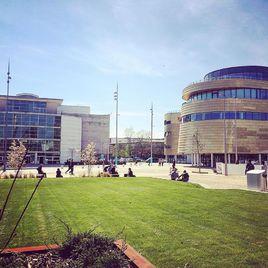 提賽德大學 提賽德大學