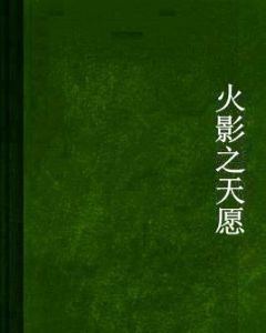 火影之天願 火影之天願