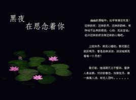 我在懷念著 我在懷念著