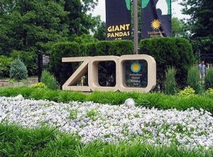 美國國立動物園 美國國立動物園