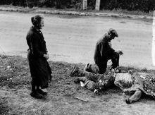 諾曼第登入戰役戰場