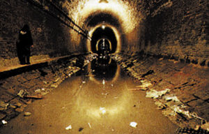 （圖）《新宿事件》